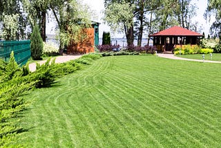 lawn care in Orange County