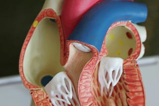 Movies May Contribute to Misunderstanding of Heart Attacks, New Study Says