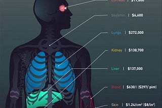 How much a human being costs