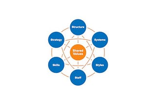 Using McKinsey’s 7-S Framework to build the workplace culture you want