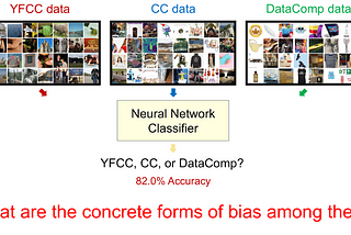 More Than Meets the Eye: How Transformations Reveal the Hidden Biases Shaping Our Datasets