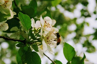 Diversity Enriches the Migraine World