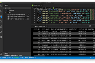 Data Set Viewer