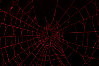 Prophet Spider Exploits Citrix ShareFile to Deploy Webshell