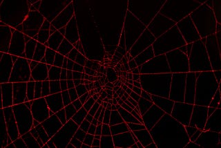 Prophet Spider Exploits Citrix ShareFile to Deploy Webshell