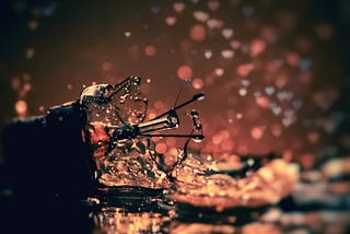 The most beautiful things often come from the most broken places.