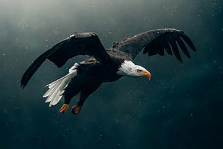 The Crow on the Eagle’s Back