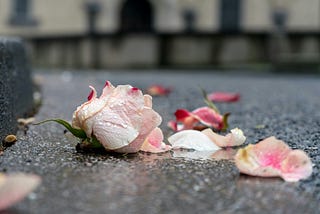 Gone