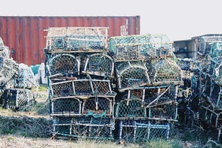 3 Self-Publishing Traps You Should Avoid