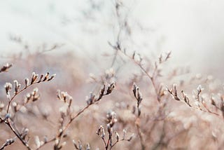 Crisp white sheets ▫️Amanecer Poetry Series ▪️047.