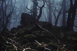 🕶️ Dark Web Diaries: The Side of the Internet They Don’t Want You to See