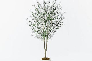 93-artificial-olive-tree-threshold-designed-with-studio-mcgee-1