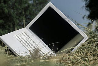 The New Climate. New(s)letter #21