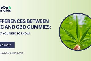 Differences between THC and CBD Gummies: What You Need to Know!