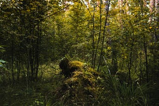 Land and People Gatherings