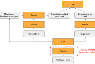 Modality-Agnostic Pre-Training