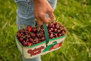 How to cherry-pick on GitHub