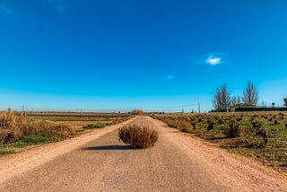 Bright ble sky with white clouds. Dusty red sandy dirt road with greenary to each side & a large tumbleweed in the middle