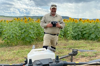 A Sunflower crop, planted by a drone, could be the first of its kind in the world