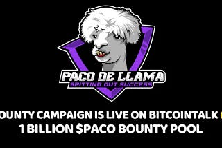 Introduction
Because PACO has real-world value, it differs from other meme coins.