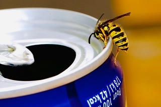 Ternary, Predicate, and Pattern Matching for FizzBuzz with Java 26