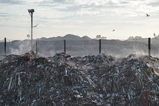 The Interstate Trade of Trash — An Oligopoly or Perfect Competition?