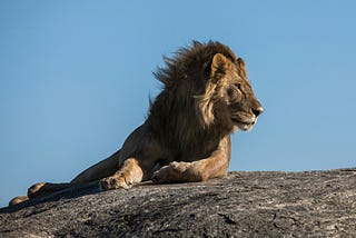 What To Take on Safari in Tanzania?