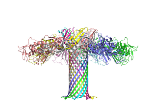 Cryo-EM structure of aerolysin assembly in a lipid membrane with each monomer labeled in a different color (PDB 9FM6). CC BY SBGRID.