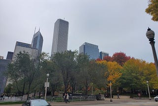 Chicago’s Natural Beauty