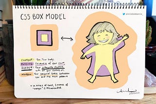 CSS Box Model for Beginners