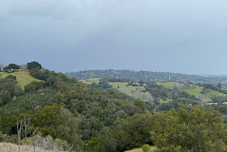 Foreground: Foothills Nature Preserve. Background: housing developments