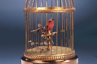 Bird in a gilded cage