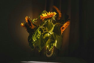 A sunflower bouquet. 
