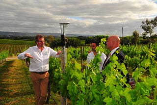 Three men in a vineyard with the Arable Mark 2