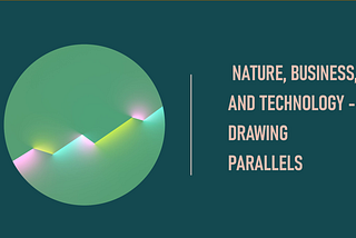 Drawing Parallels between Nature, Business, and Technology