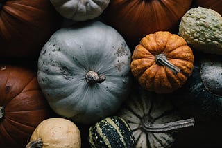 How to Grow Pumpkins