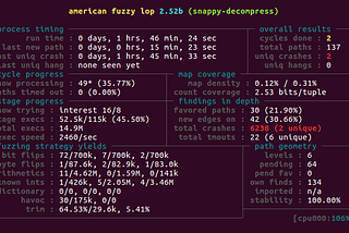 Fuzz-Testing the Snappy Compression Algorithm