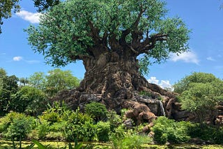 The Five Word Secret Disney Uses to Create Magic and How You Can Too