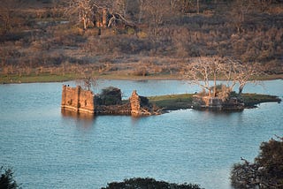 The Making of Ranthambore Safari