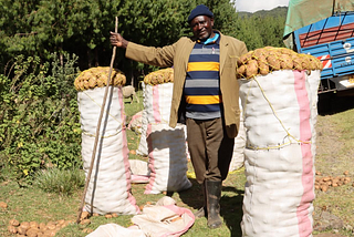 GOALAN Success Endures: Farmers in Nyandarua Thrive a Year On