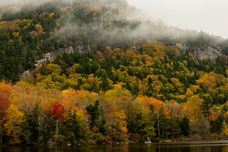 Eylül 2025 Frontend Ekosistem Haberleri