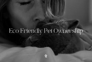 Beginner Guide To Eco Friendly Pet Ownership: 3 Hacks