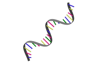 Number 1 Scientific Breakthrough of 2020: The mRNA Vaccine