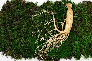 Making Room for Your Roots to Deepen: A Call for Inner Stillness Amidst the Sizzle