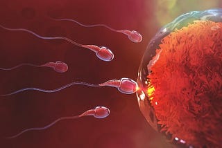 Some Reasons You Might Need a Sperm Donor