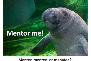 如何當Mentee｜ TAAB Mentor Program心得分享