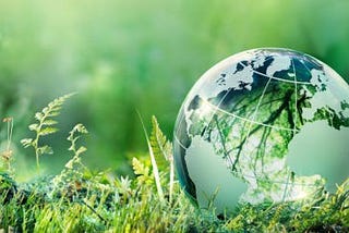 How Sustainability is Sparking Innovation