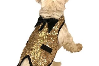 the-dog-squad-doggie-tuxedo-top-gold-sequins-x-small-1