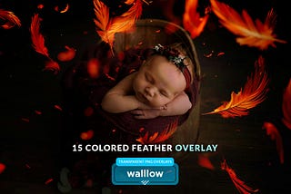Colorful feathers transparent png photo overlays
