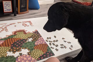 Stuck on the Puzzle